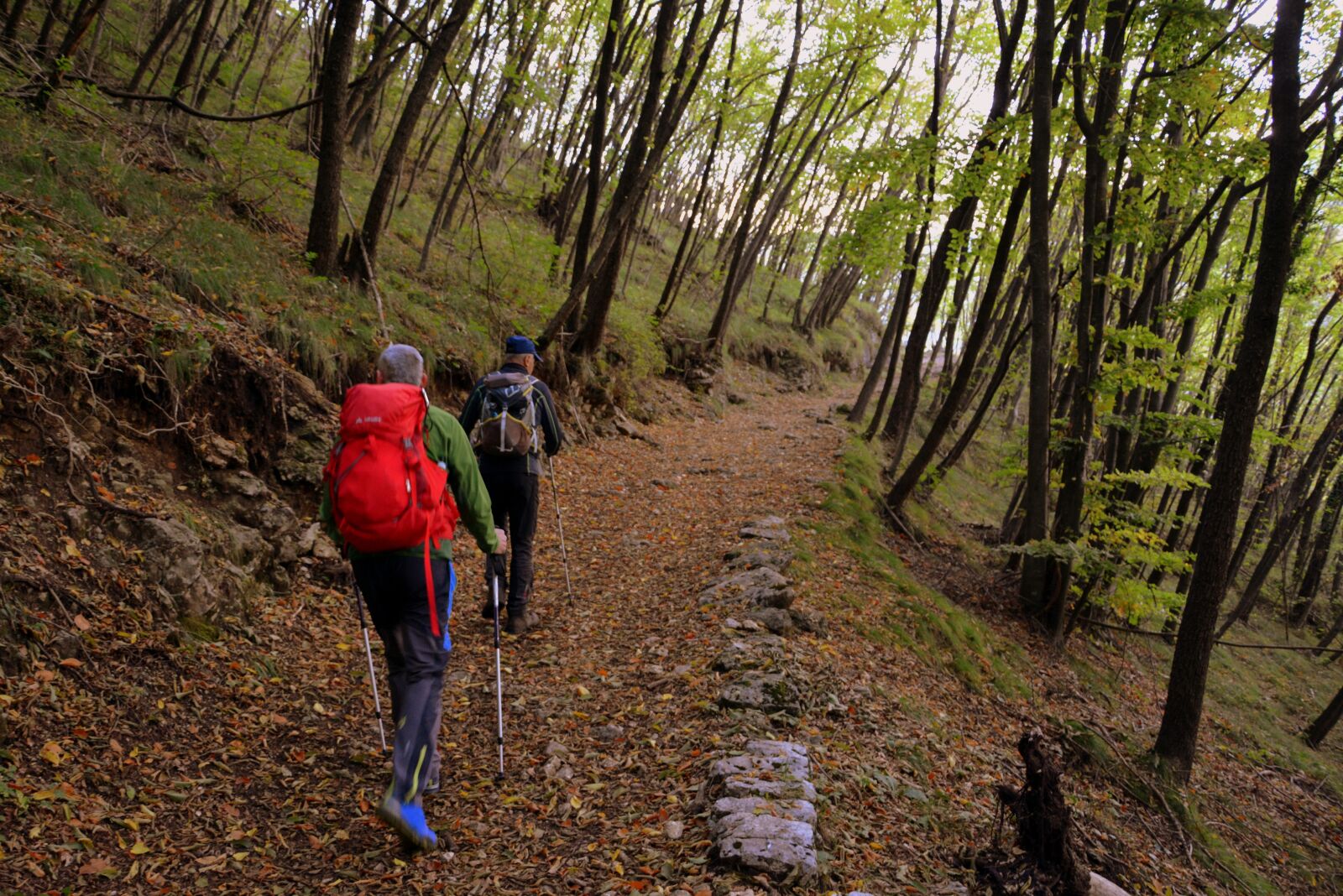 Nikon D7100 sample photo. Excursion, trail, mountain photography