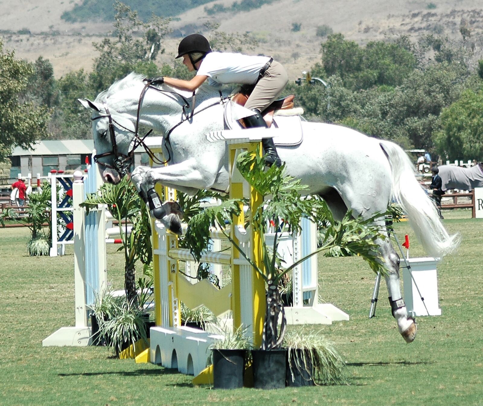 Nikon D70s sample photo. Horse, horseback, ride photography