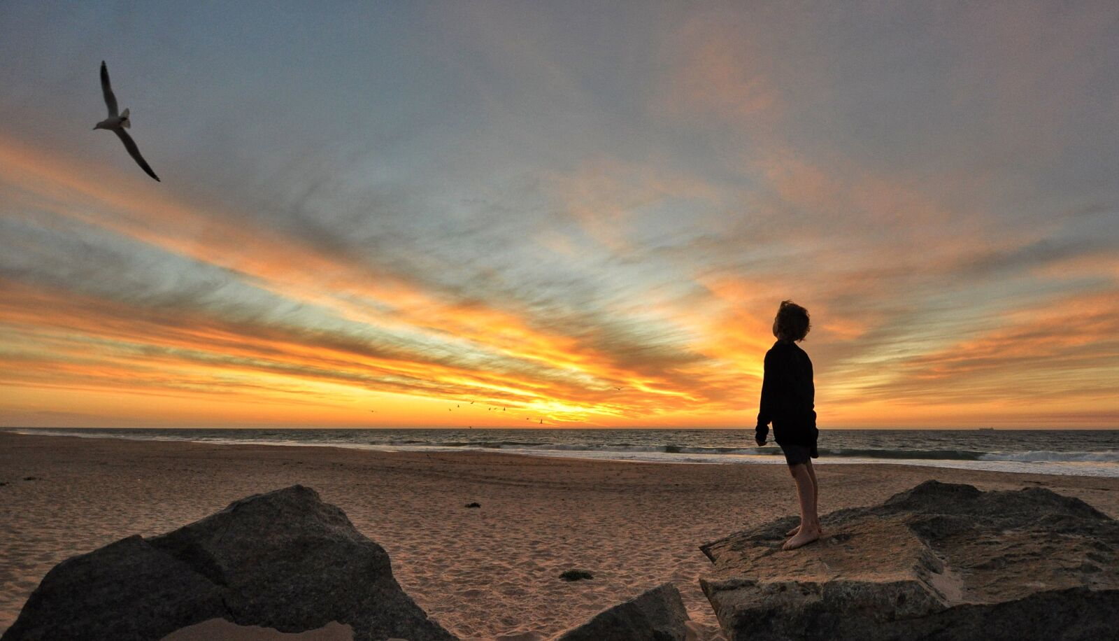 Nikon D90 sample photo. Boy, sunset, sky photography