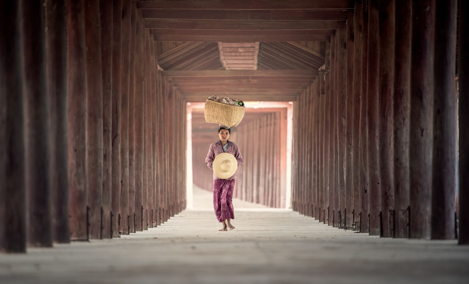 Nikon D810 sample photo. Outdoor, rice seeds, carry photography