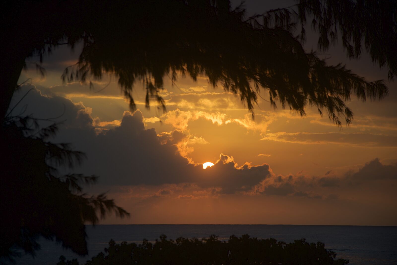 Nikon D600 sample photo. Earth hour, sunrise, nature photography
