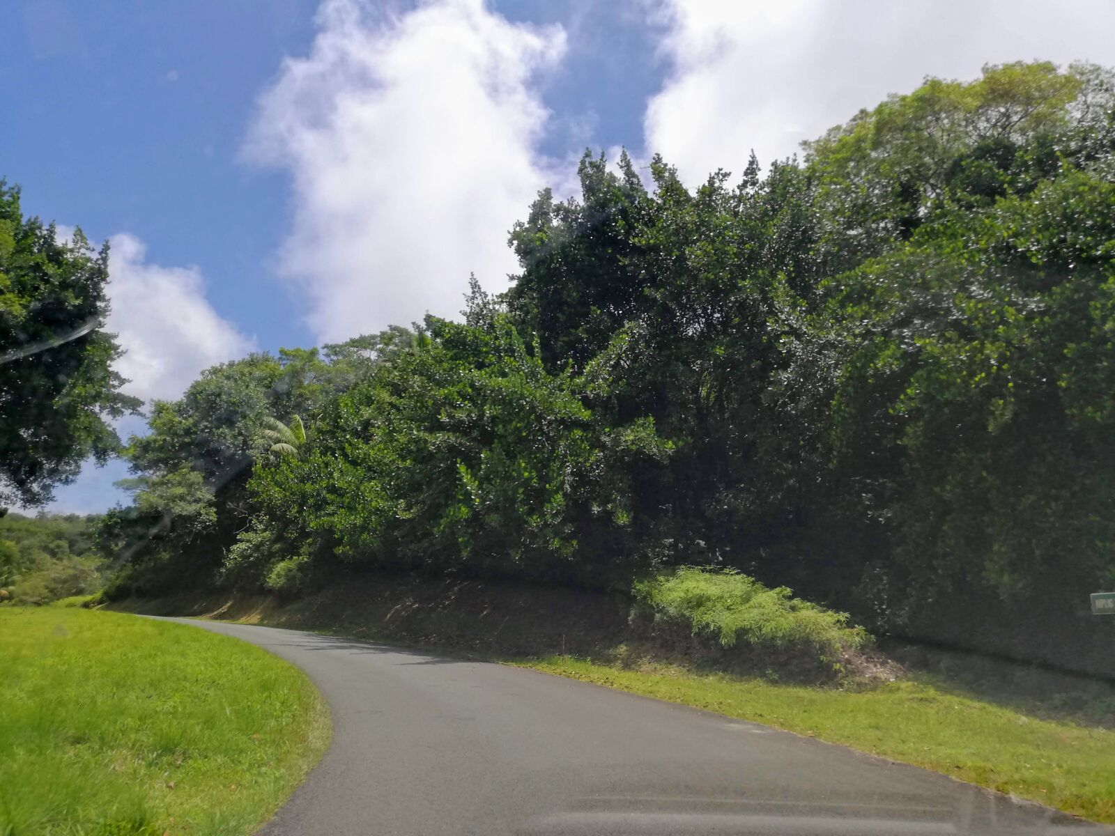 HUAWEI P20 lite sample photo. Mountain, road, plants photography