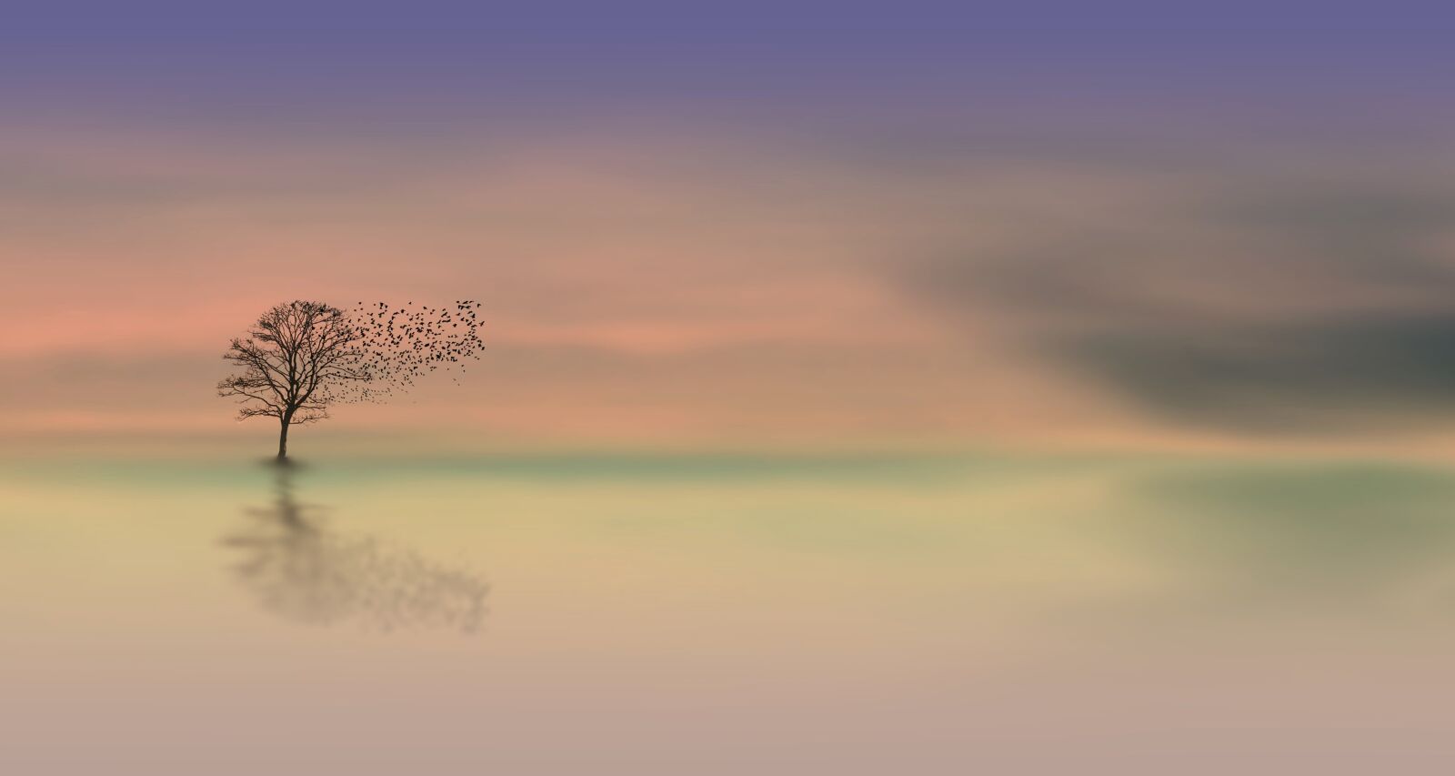 Nikon D700 sample photo. Dawn, tree, dusk photography