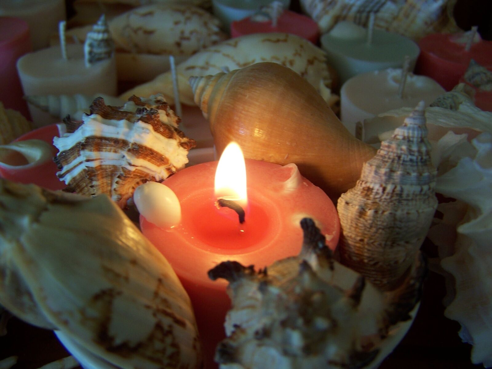 Kodak Z740 ZOOM DIGITAL CAMERA sample photo. Candle, shells, light photography