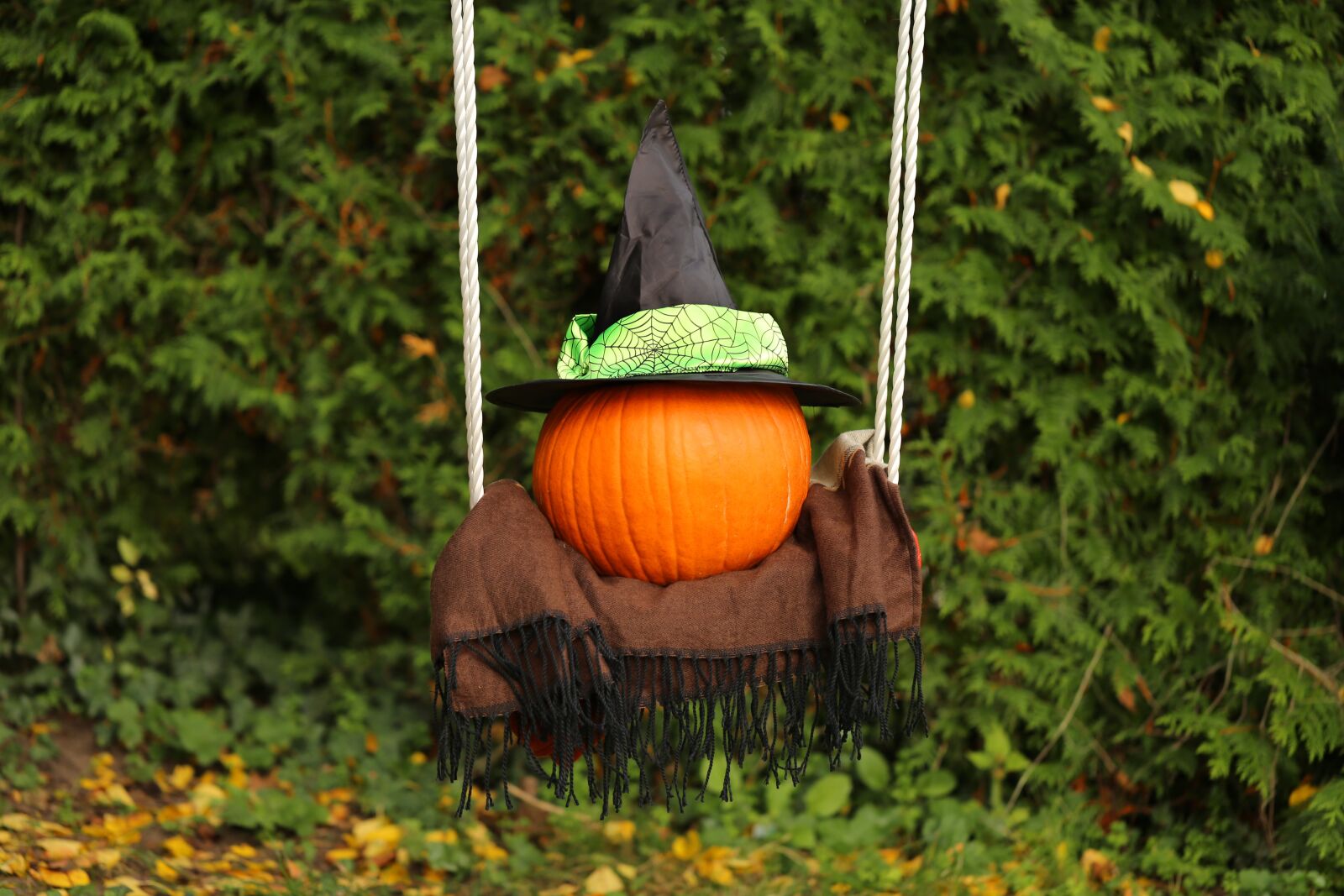 Canon EF 100mm F2.8L Macro IS USM sample photo. Autumn, halloween, pumpkin photography