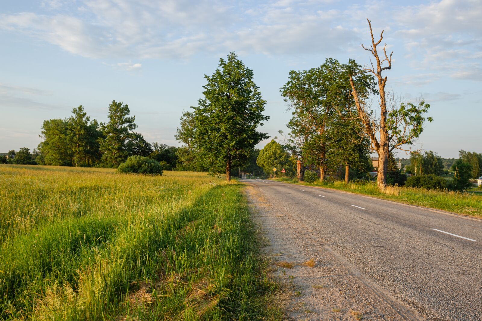 Canon EOS 77D (EOS 9000D / EOS 770D) sample photo. Road, country road, landscape photography