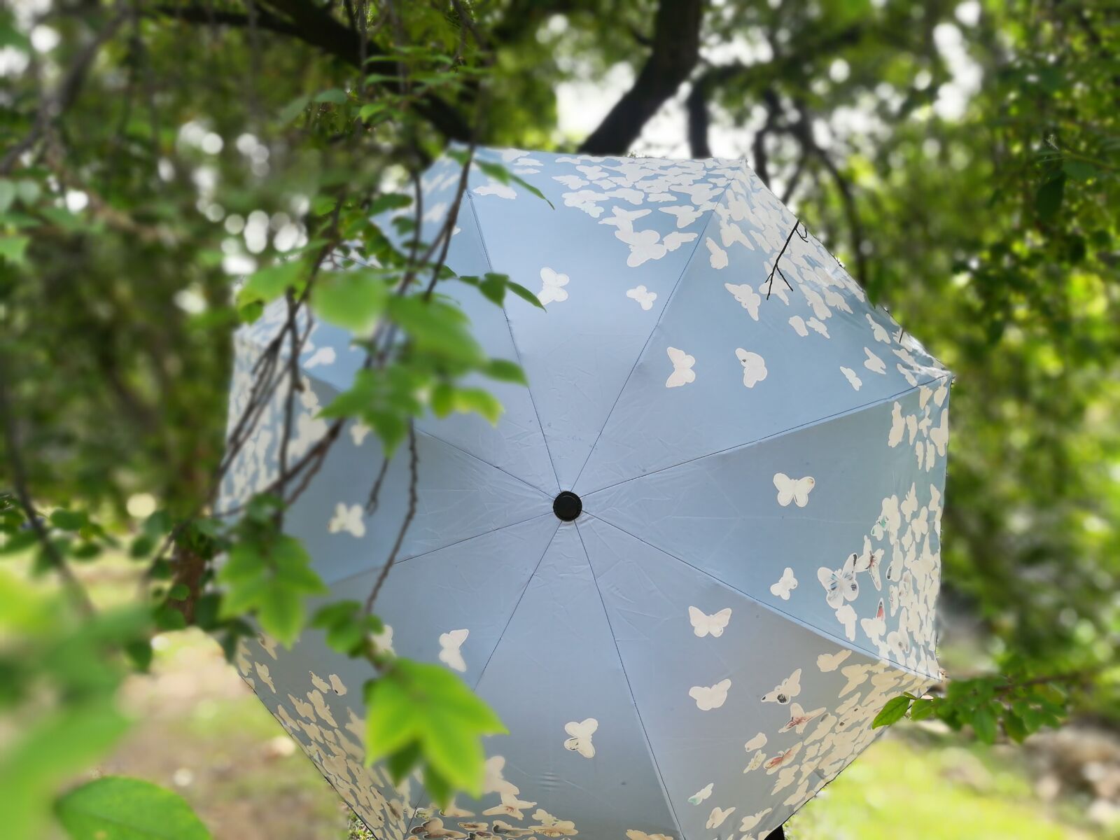 HUAWEI MATE 9 LITE sample photo. Umbrellas, blu, butterflies photography