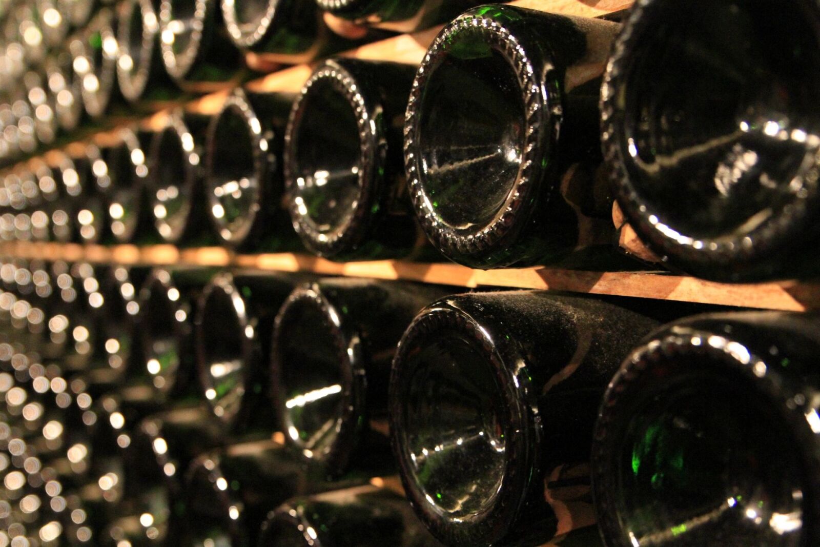 Canon EOS 7D sample photo. Bottles, basement, winemaking photography