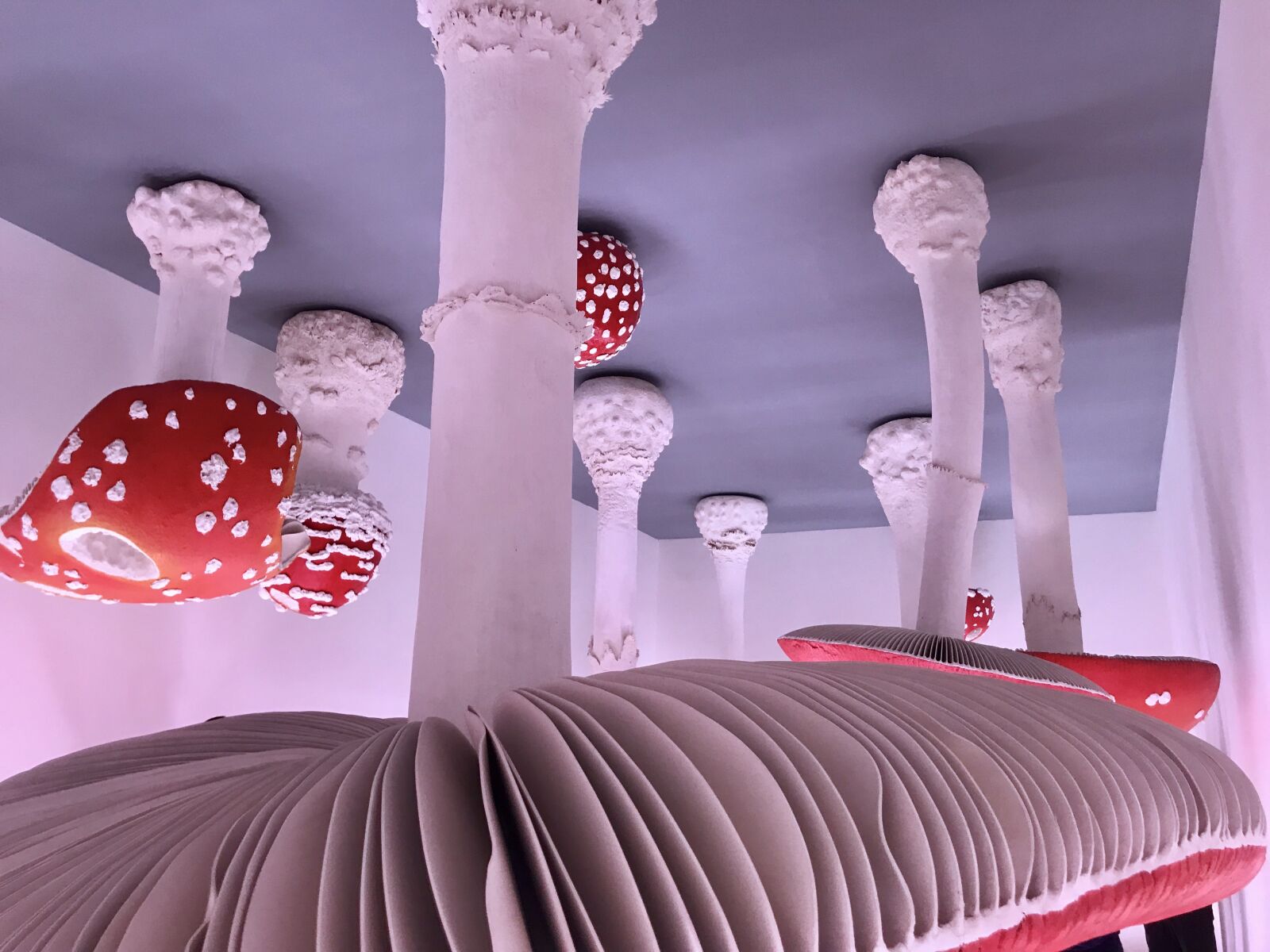 Apple iPhone 7 Plus sample photo. Art, red, fungi photography