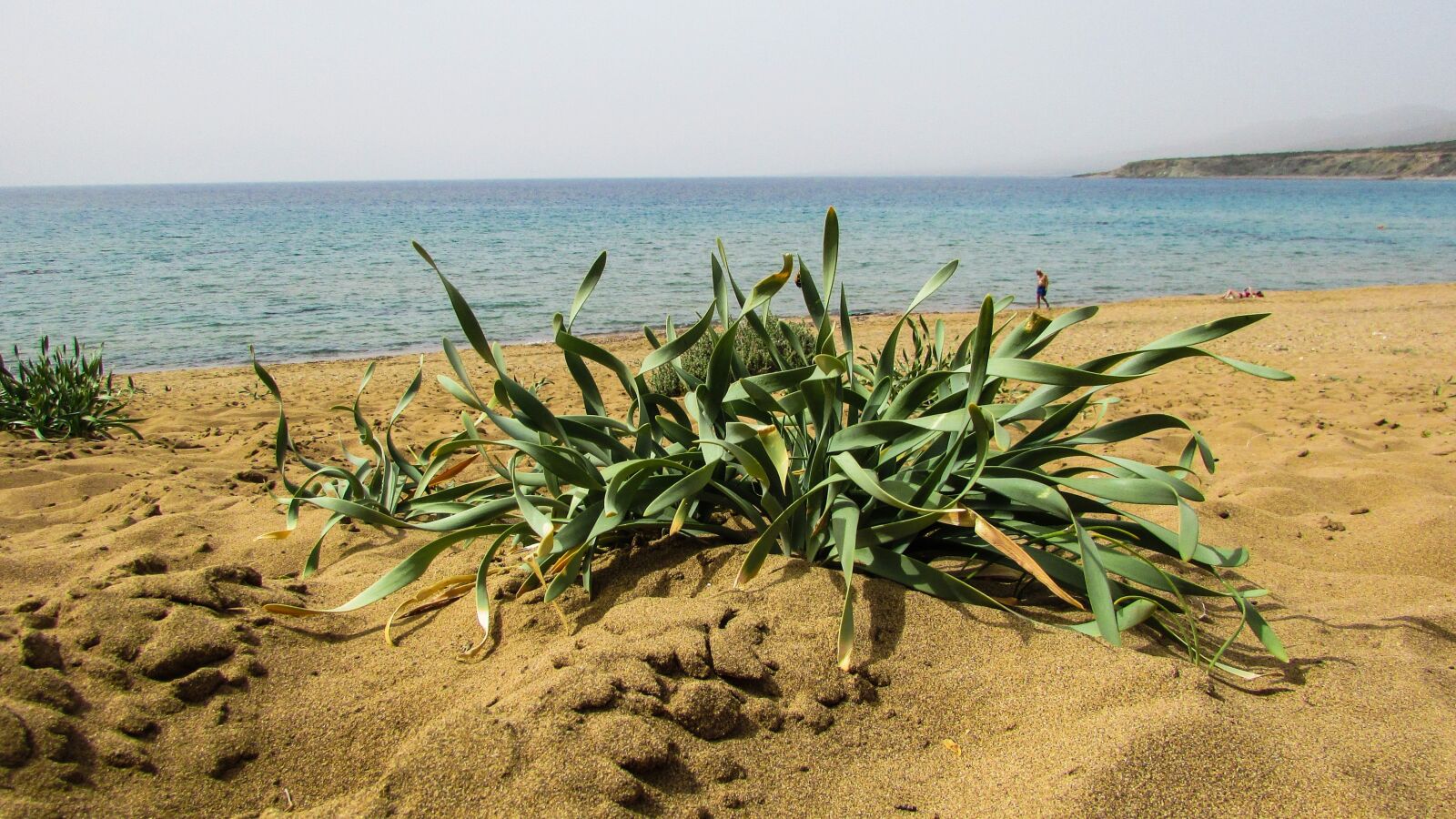 Canon PowerShot SX400 IS sample photo. Cyprus, akamas, national park photography