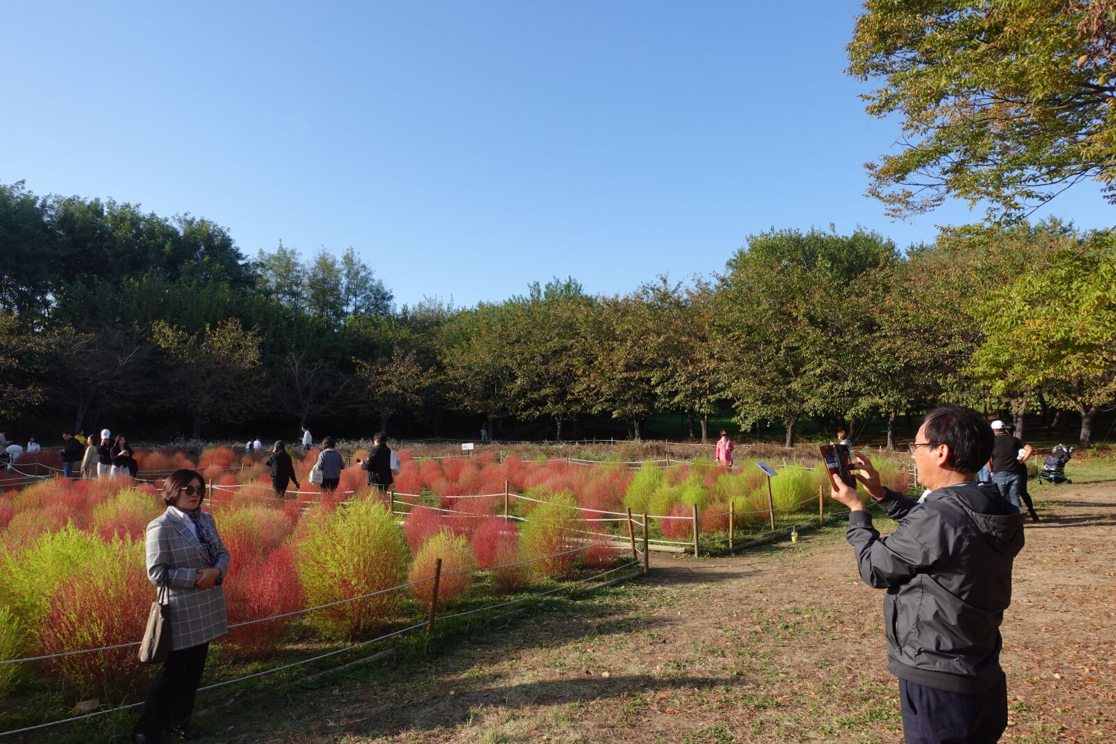 Sony ZV-1 sample photo