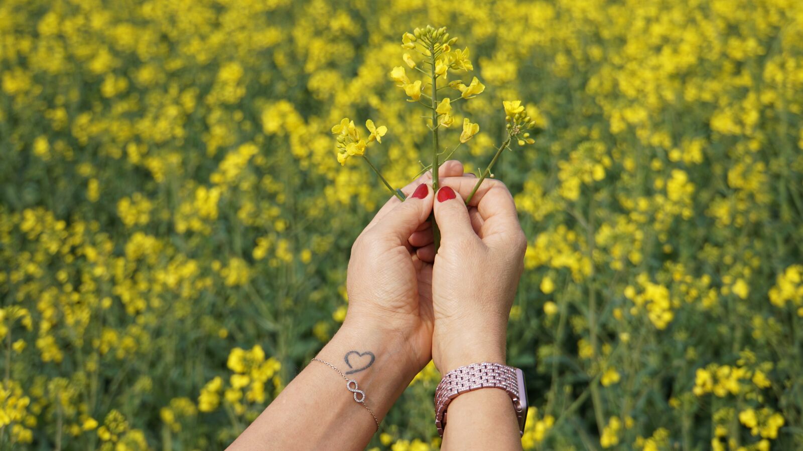 Sony E 18-200mm F3.5-6.3 OSS LE sample photo. Hands, woman, flowers photography