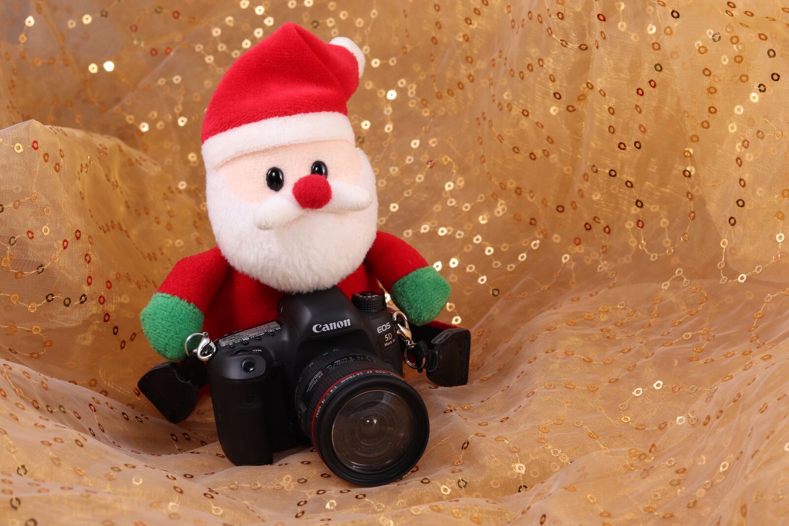 Canon EOS 800D (EOS Rebel T7i / EOS Kiss X9i) sample photo. Santa claus, canon, camera photography
