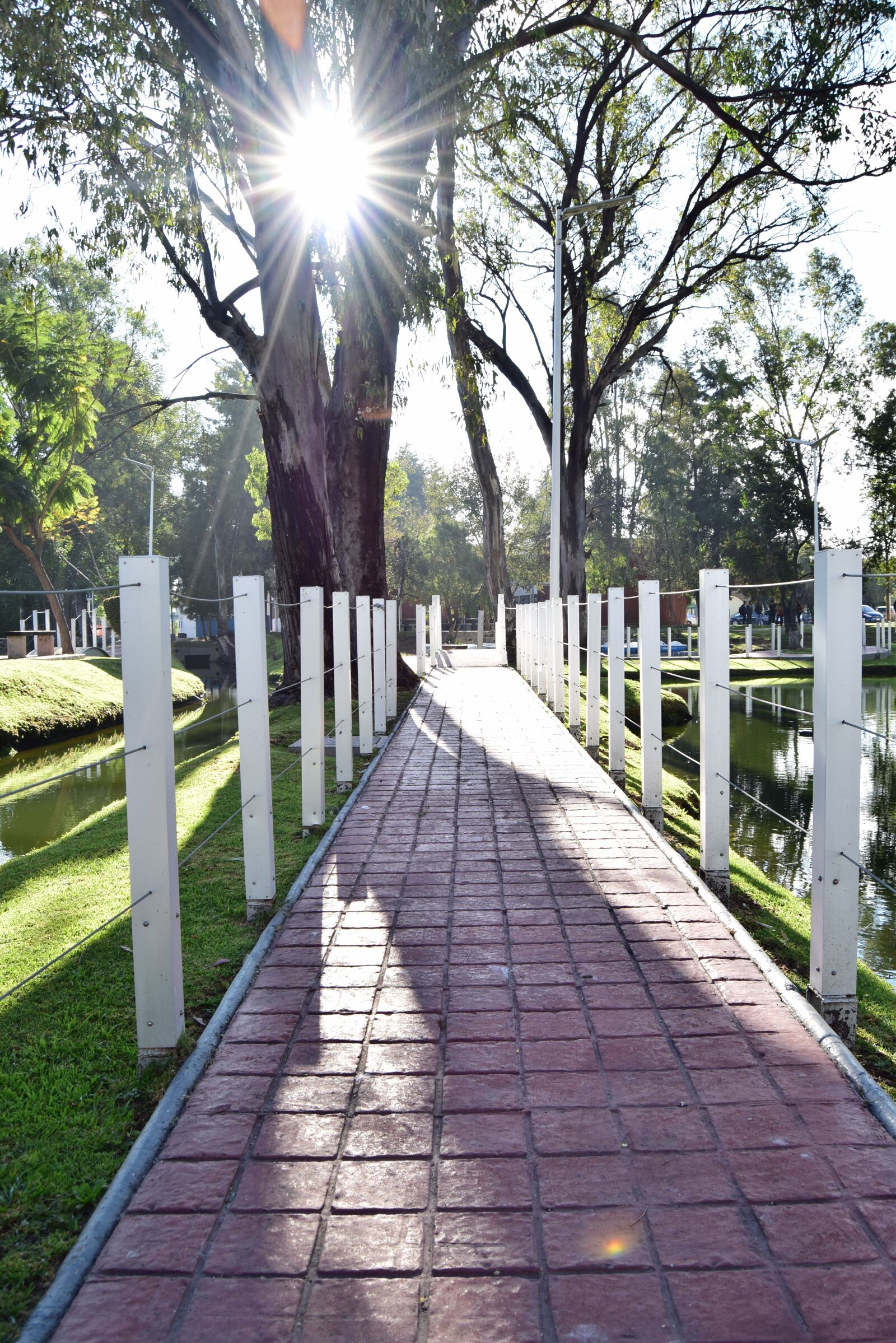 Nikon D3300 sample photo. Path, sun, landscape photography