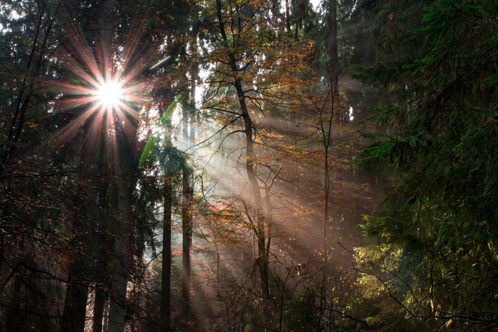 Canon EOS 700D (EOS Rebel T5i / EOS Kiss X7i) sample photo. Teutoburg forest, silver valley photography