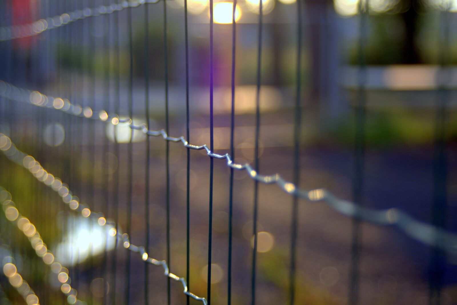 Pentax K-S2 sample photo. The fence, trellis, wire photography