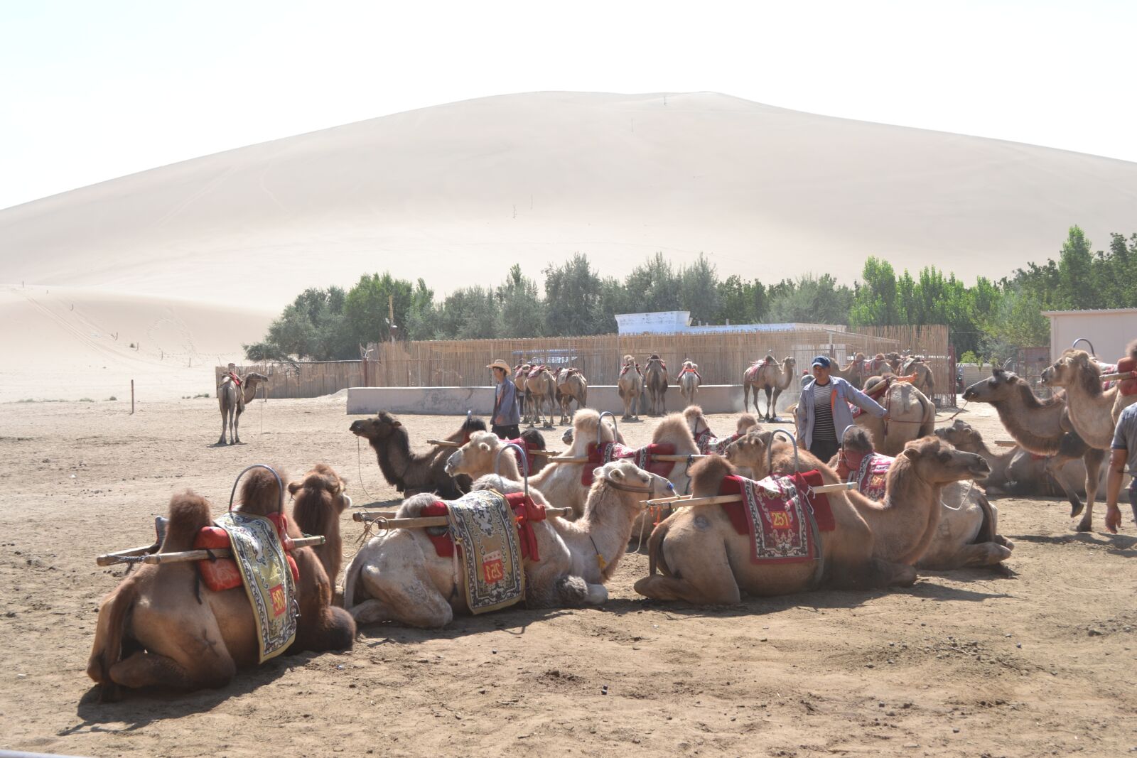 Nikon D3100 sample photo. Gansu province, jiuquan, crescent photography