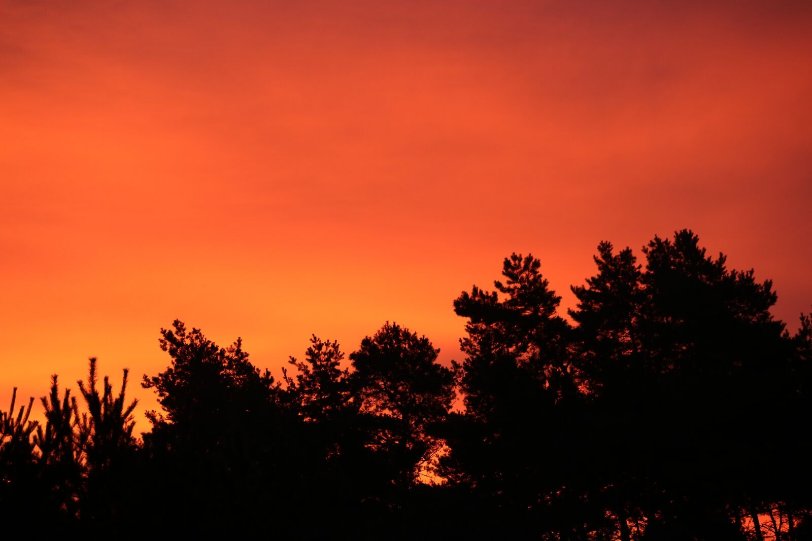 Canon EOS 750D (EOS Rebel T6i / EOS Kiss X8i) sample photo. Red, sky, morning photography