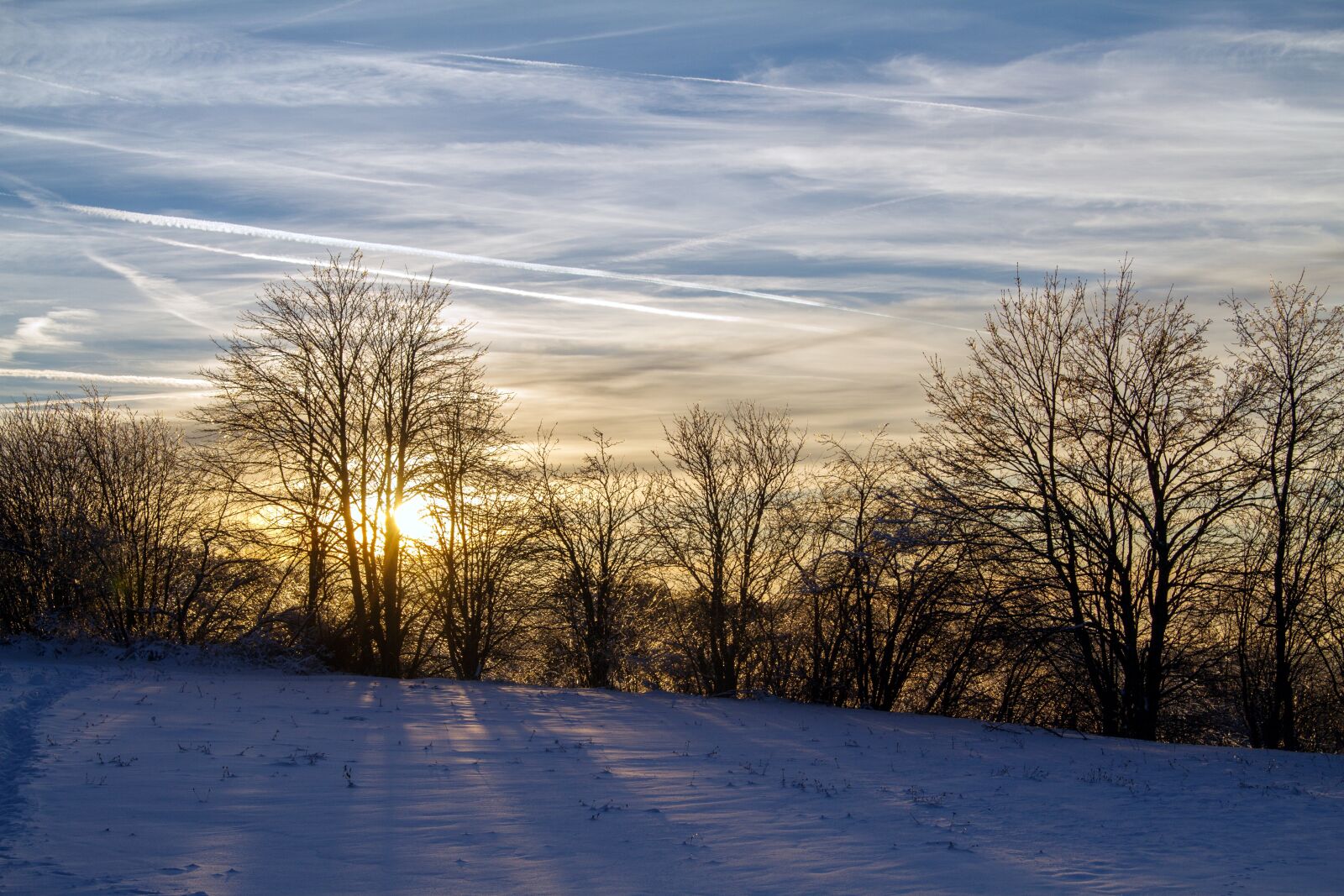 Canon EOS 7D sample photo. Winter, snow, wintry photography