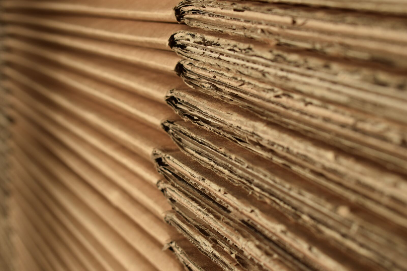 Nikon D3300 sample photo. Cardboard, wave, carton photography