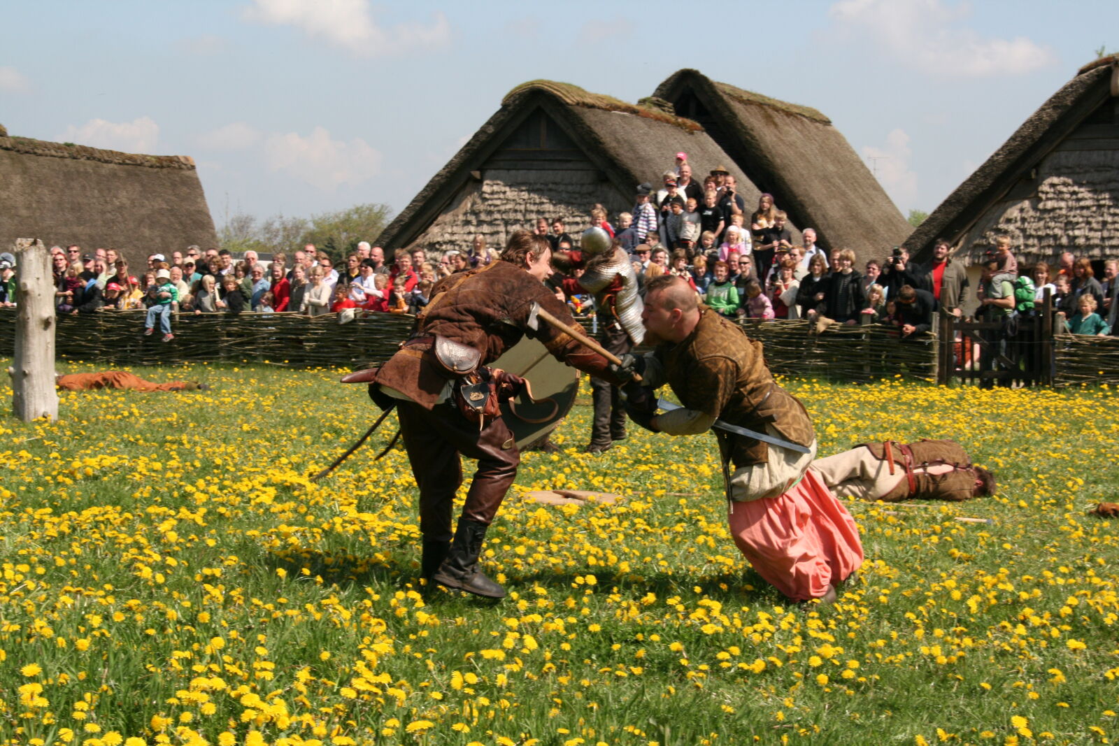 Sigma 18-200mm f/3.5-6.3 DC OS sample photo. Vikings photography