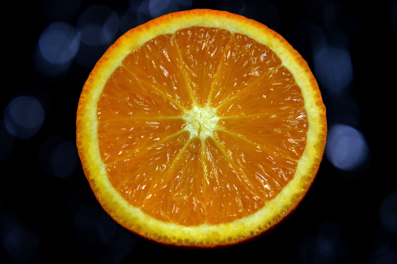 Nikon D3200 sample photo. Orange, the background, colors photography