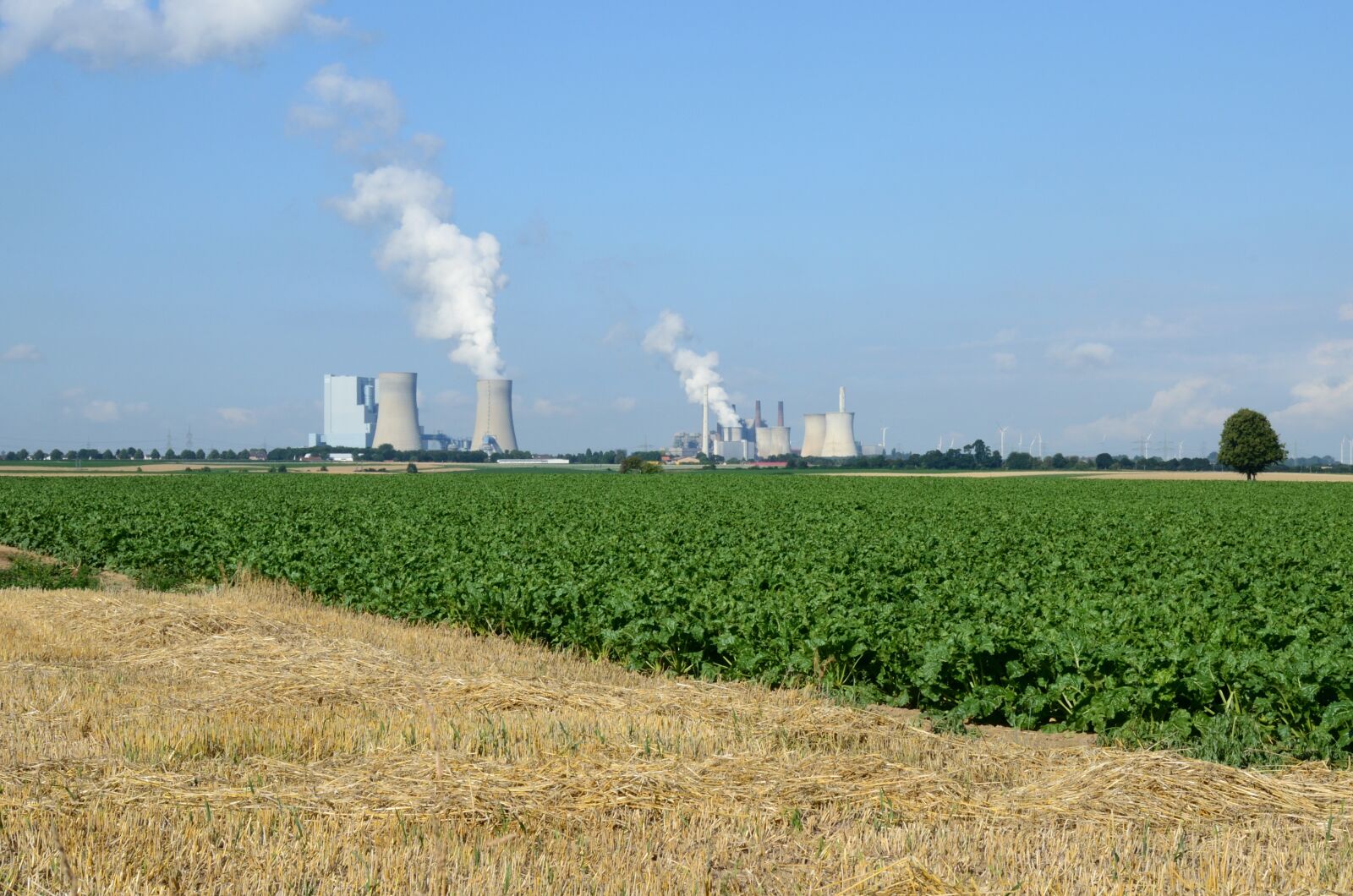Nikon D5100 sample photo. Landscape, field, agriculture photography