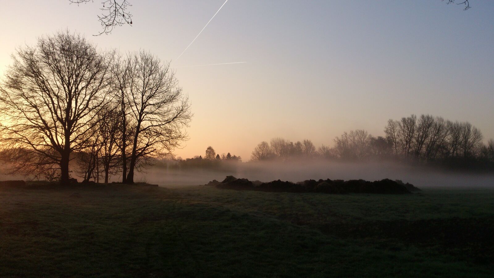 Sony Ericsson Xperia S sample photo. Sunrise, trees, morning photography
