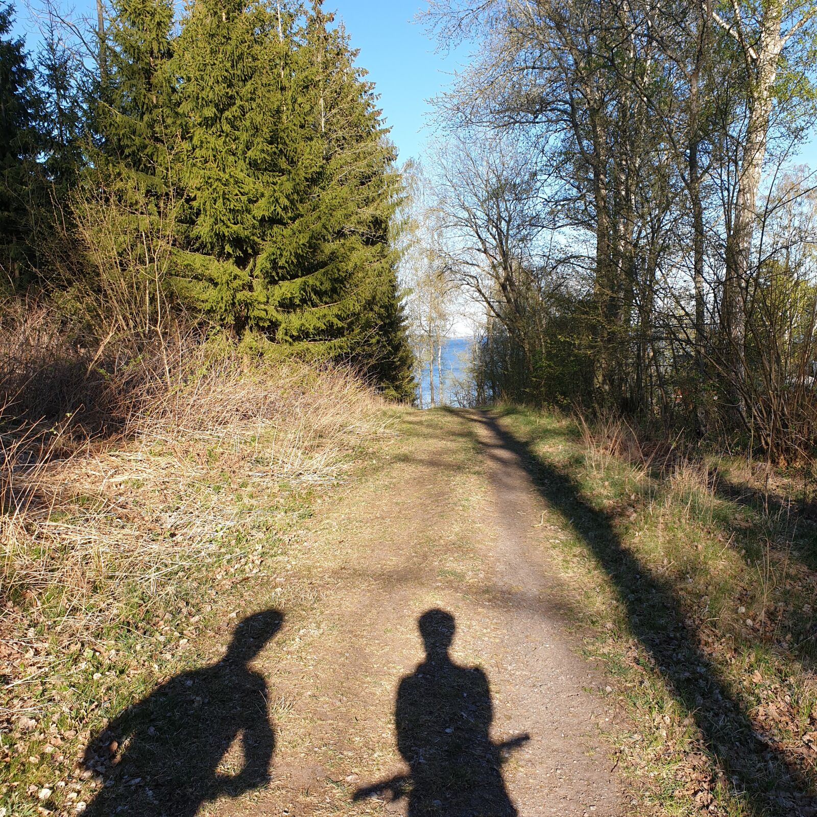 Samsung Galaxy S9 sample photo. Path, nature, mtb photography