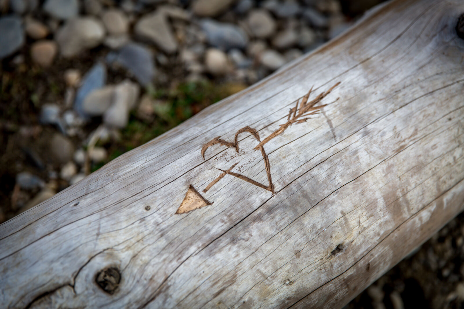 Canon EF 24-70mm F2.8L II USM sample photo. Carving, driftwood, love, lovers photography