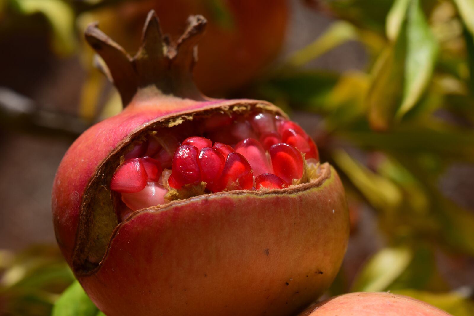Nikon D3300 sample photo. Pomegranate, sweet, delicious photography