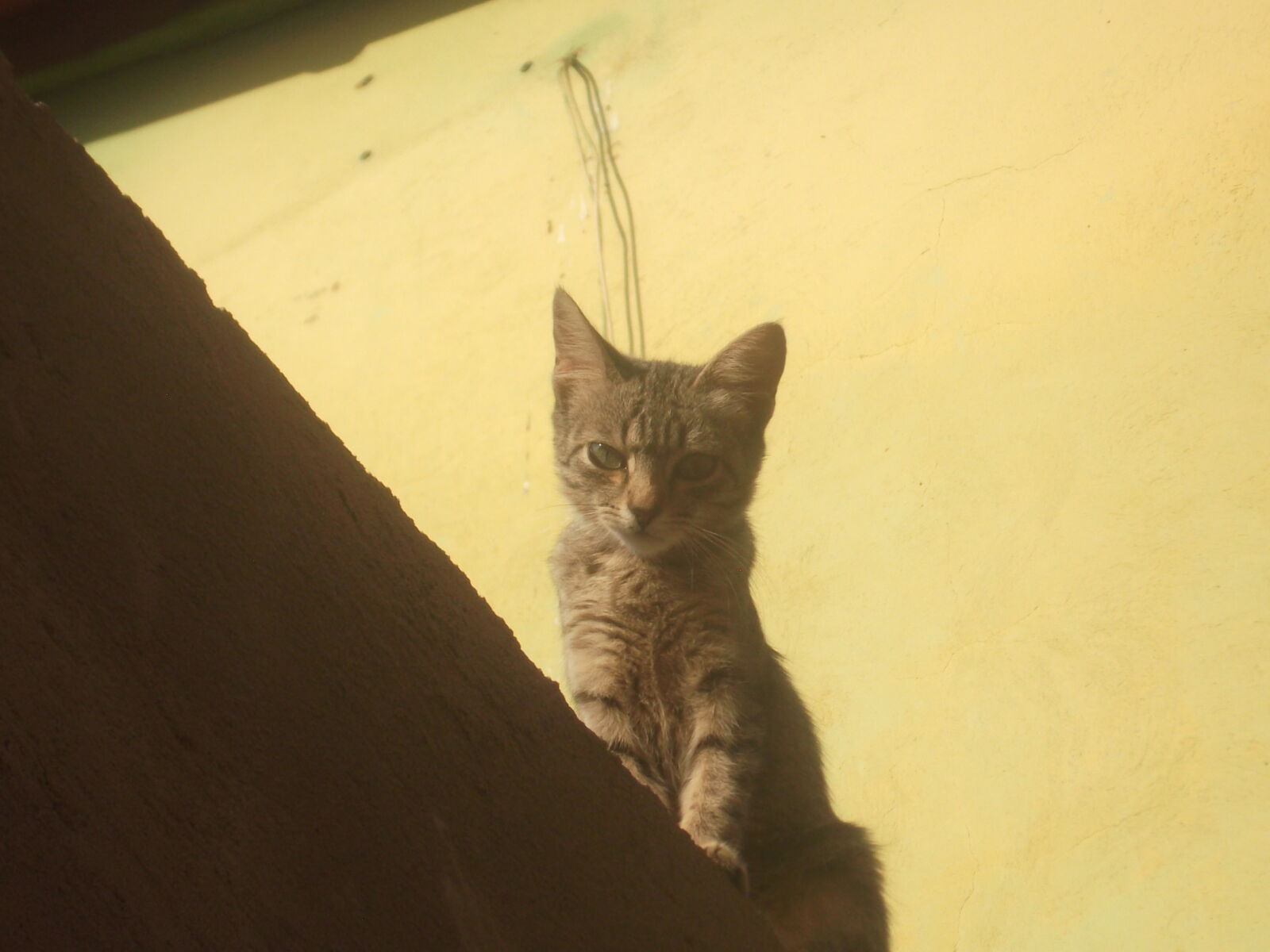 FujiFilm FinePix JX300 (FinePix JX305) sample photo