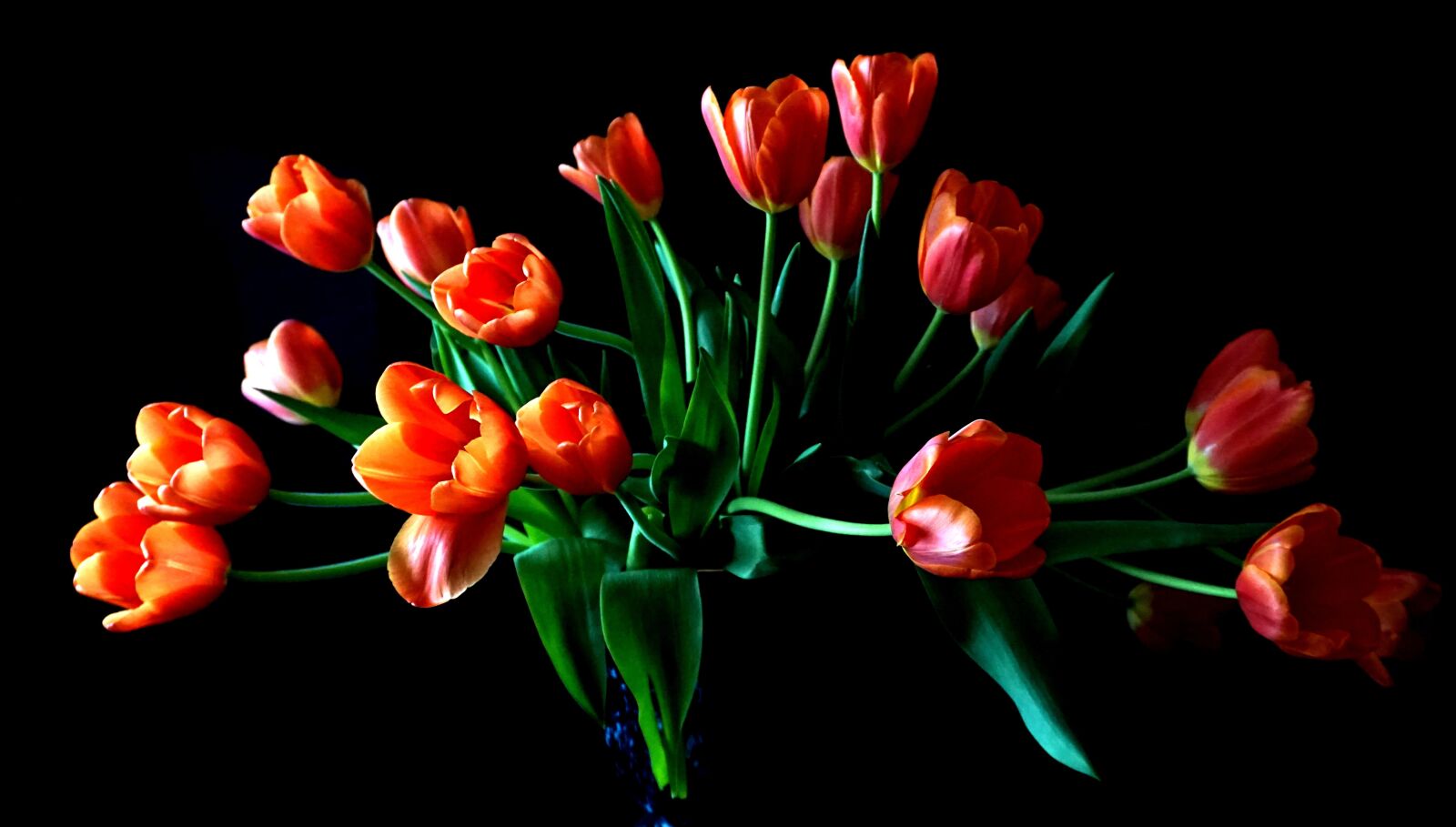 Sony a6000 sample photo. Flowers, tulips, vase photography