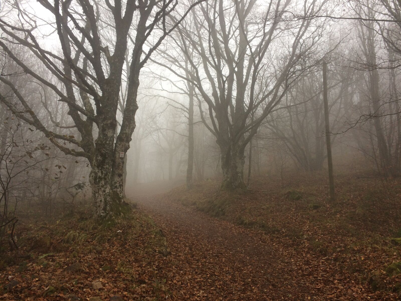 iPhone 5s back camera 4.15mm f/2.2 sample photo. Hartmannswillerkopf, vosges, alsace photography