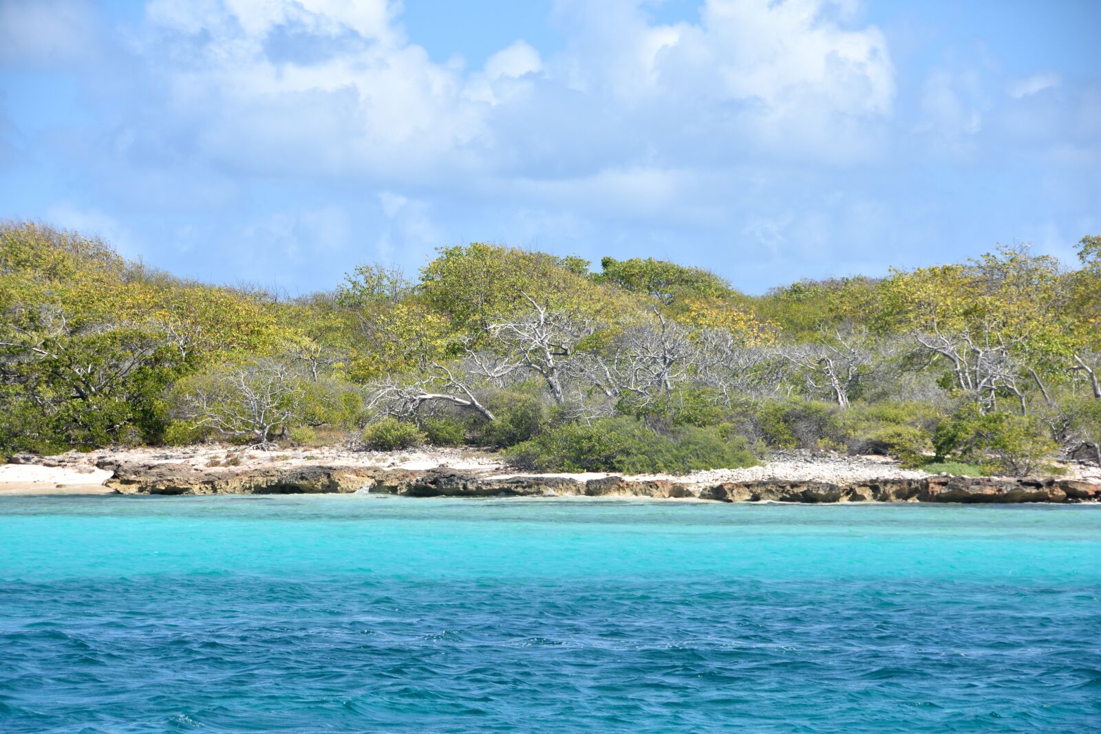 Nikon D7200 sample photo. Guadeloupe, small land, blue photography