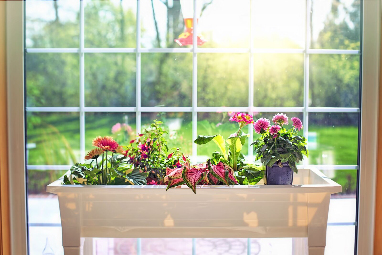 Canon EF 50mm F1.4 USM sample photo. Flowers, flower box, garden photography