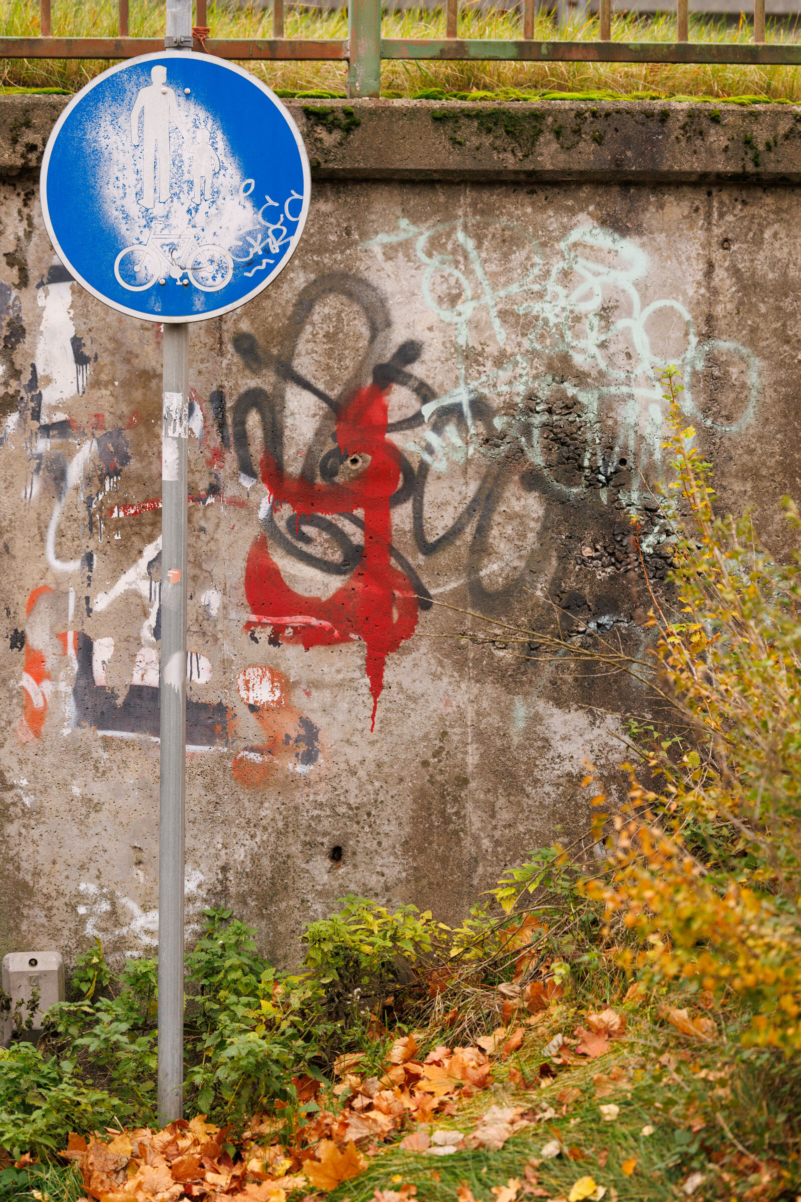 Canon EOS R1 sample photo. Questionable route photography