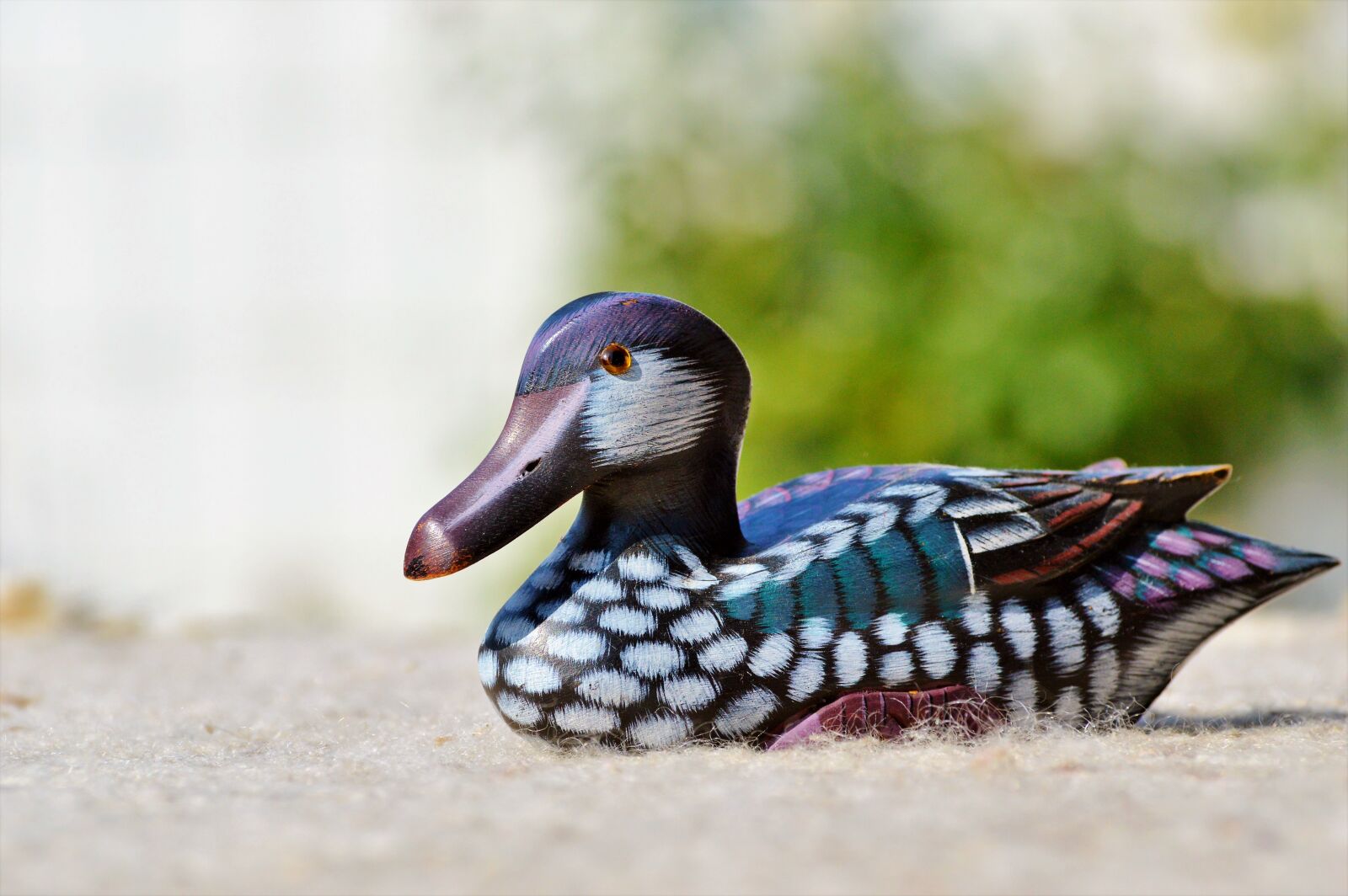 Nikon D3200 sample photo. Duck, wood duck, deco photography