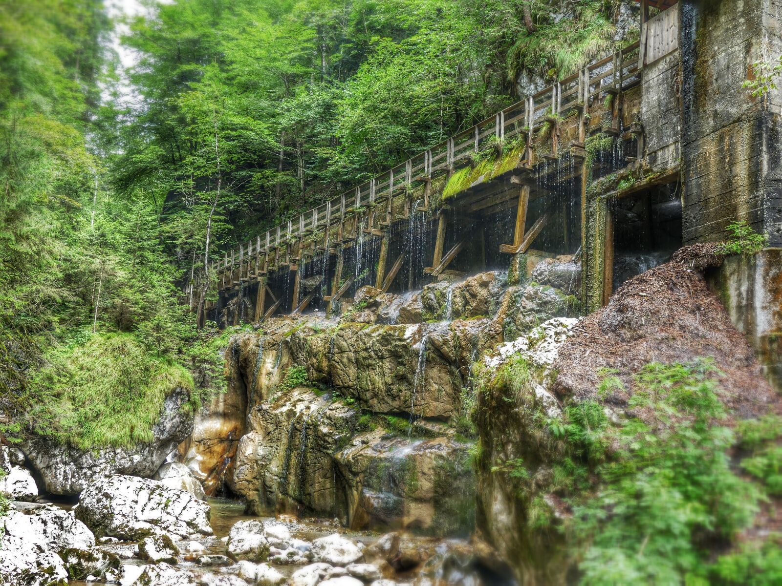 Panasonic Lumix DMC-FZ1000 sample photo. Clammy, bridge, moss photography