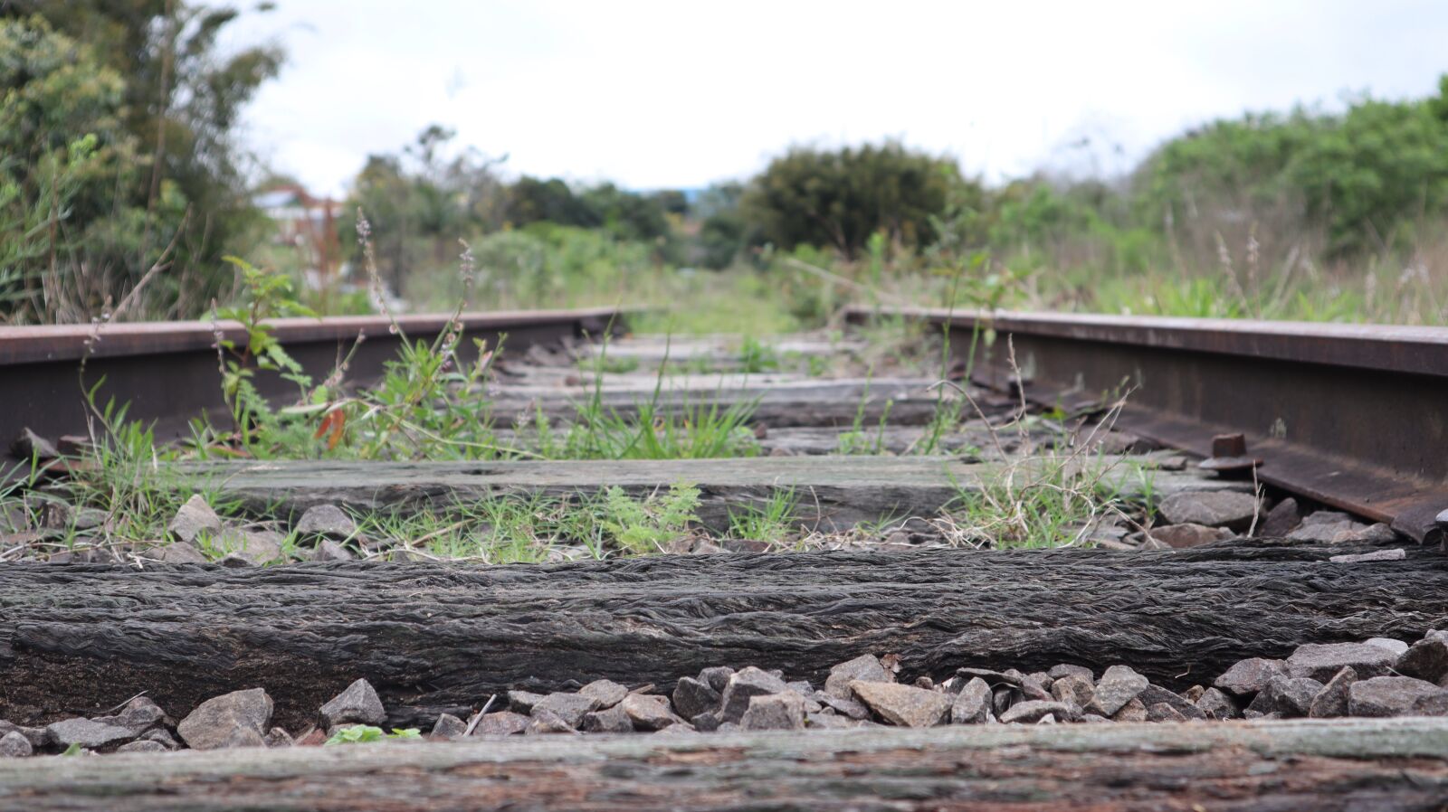 Canon EF-M 15-45mm F3.5-6.3 IS STM sample photo. Trail, train, abandoned photography