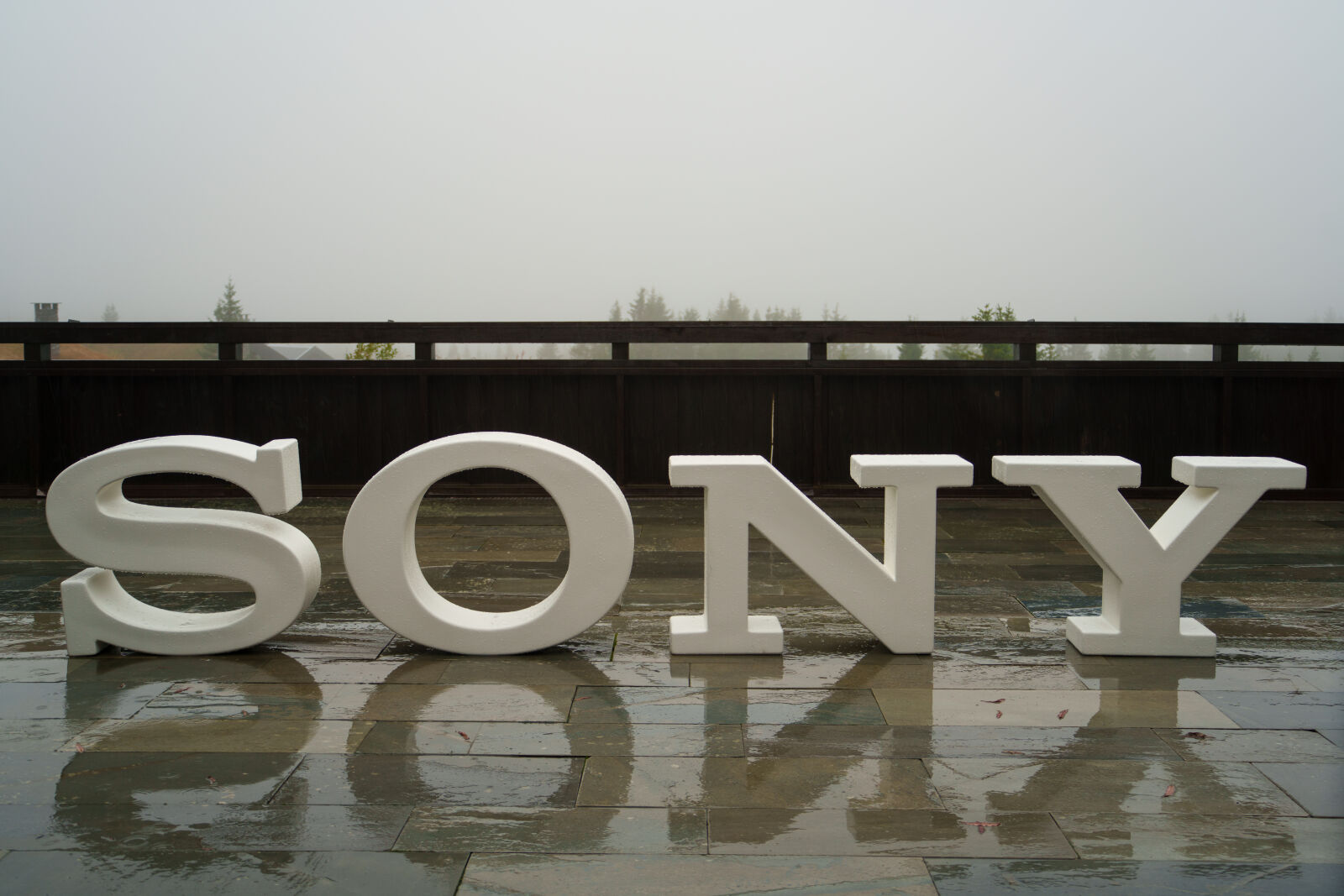 Sony a7R V sample photo. Sony reflection photography