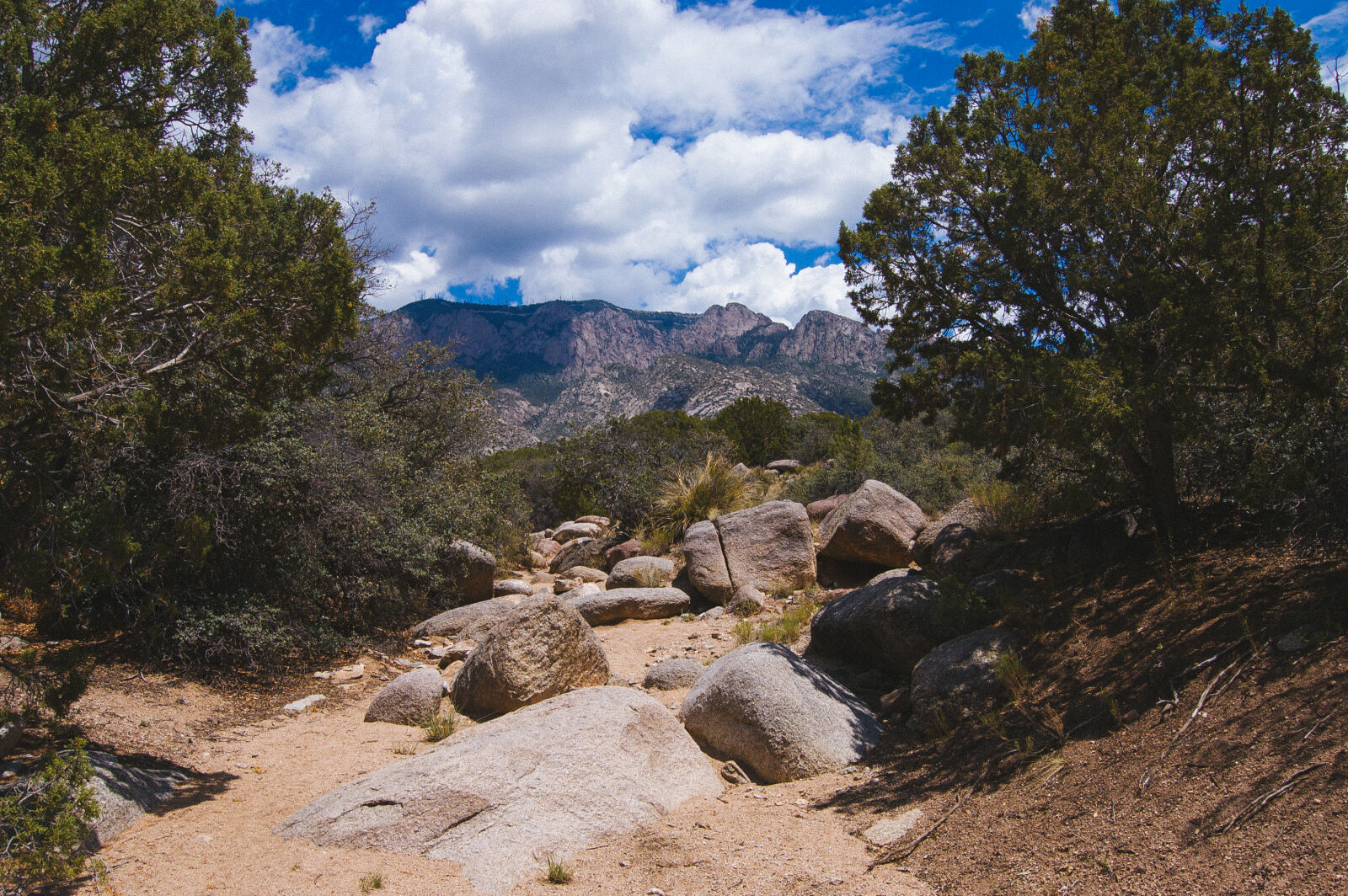 Nikon D50 sample photo. Albuquerque, hike, mountain, new photography