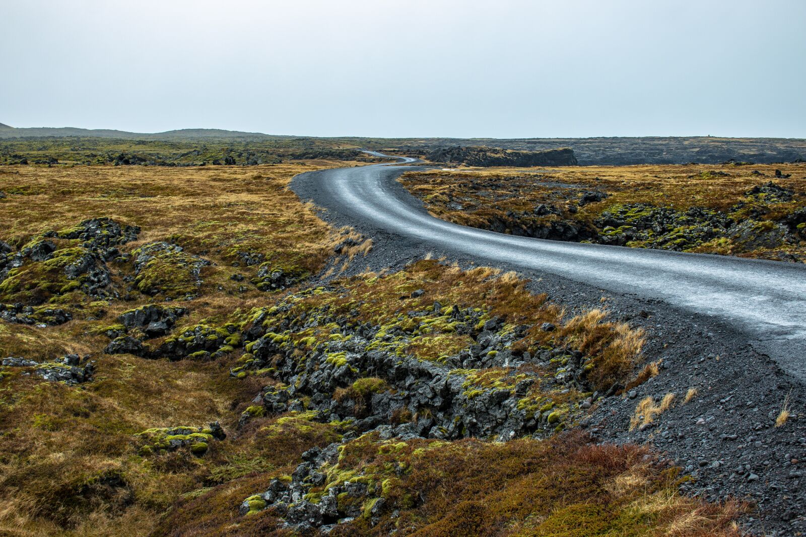 Canon EOS 70D sample photo. Iceland, moss, green photography