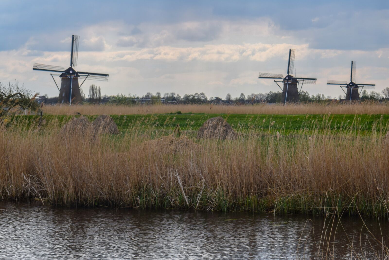 Nikon D5300 sample photo. Mill, netherlands, water photography