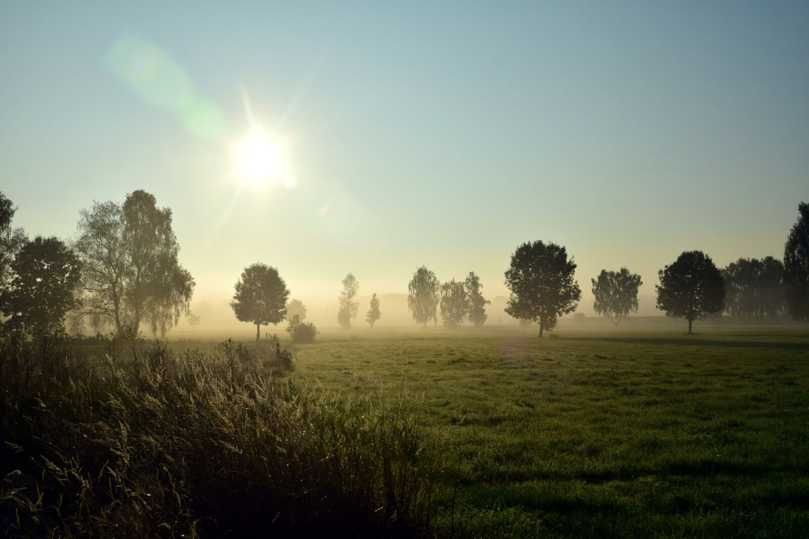 Nikon D3300 sample photo. Fog, landscape, nature photography