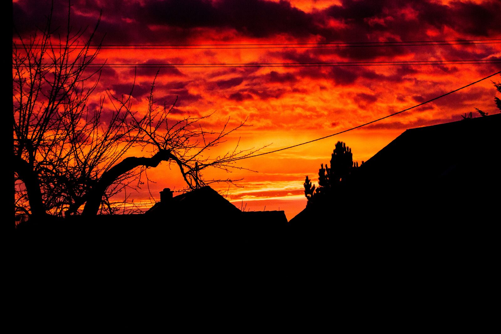 Nikon D3100 sample photo. Sky, red, dangerous photography