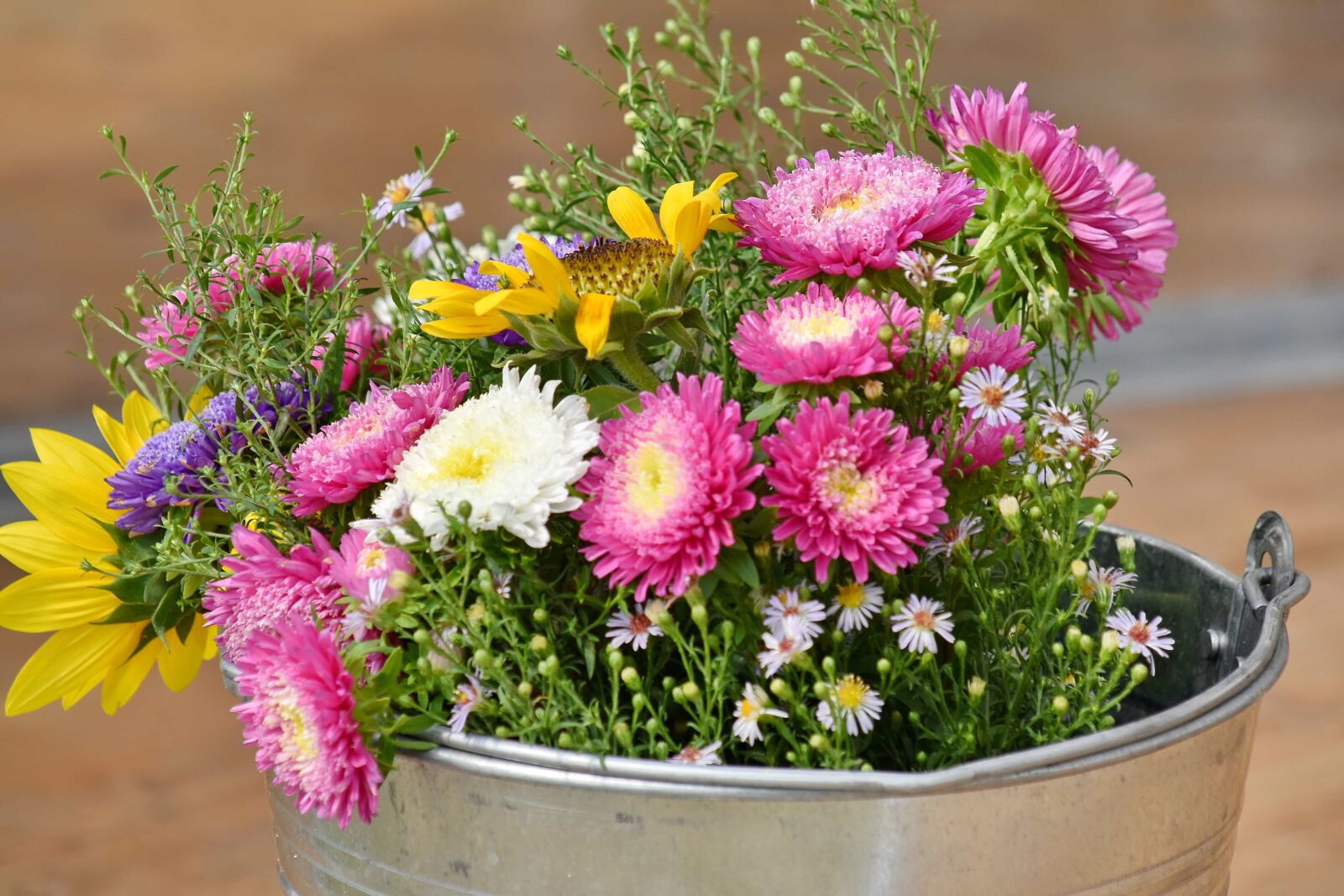 Nikon D5500 sample photo. Arrangement, bouquet, bucket, sunflower photography