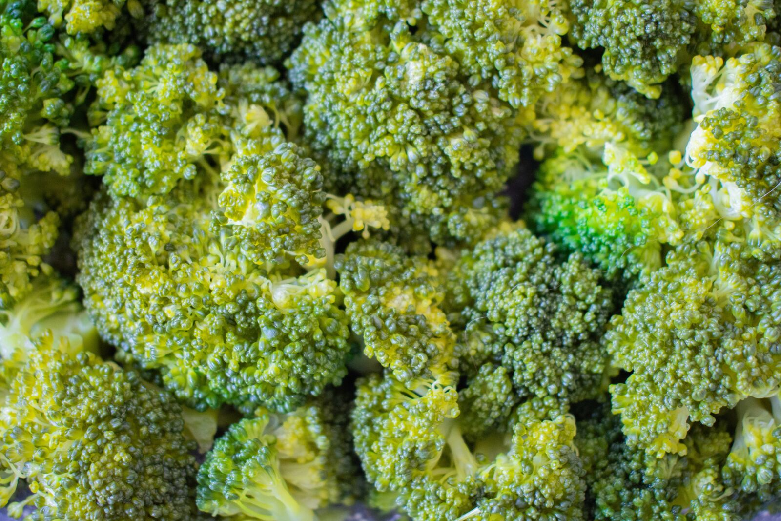 Nikon D7200 sample photo. Green, broccoli, nutrition photography
