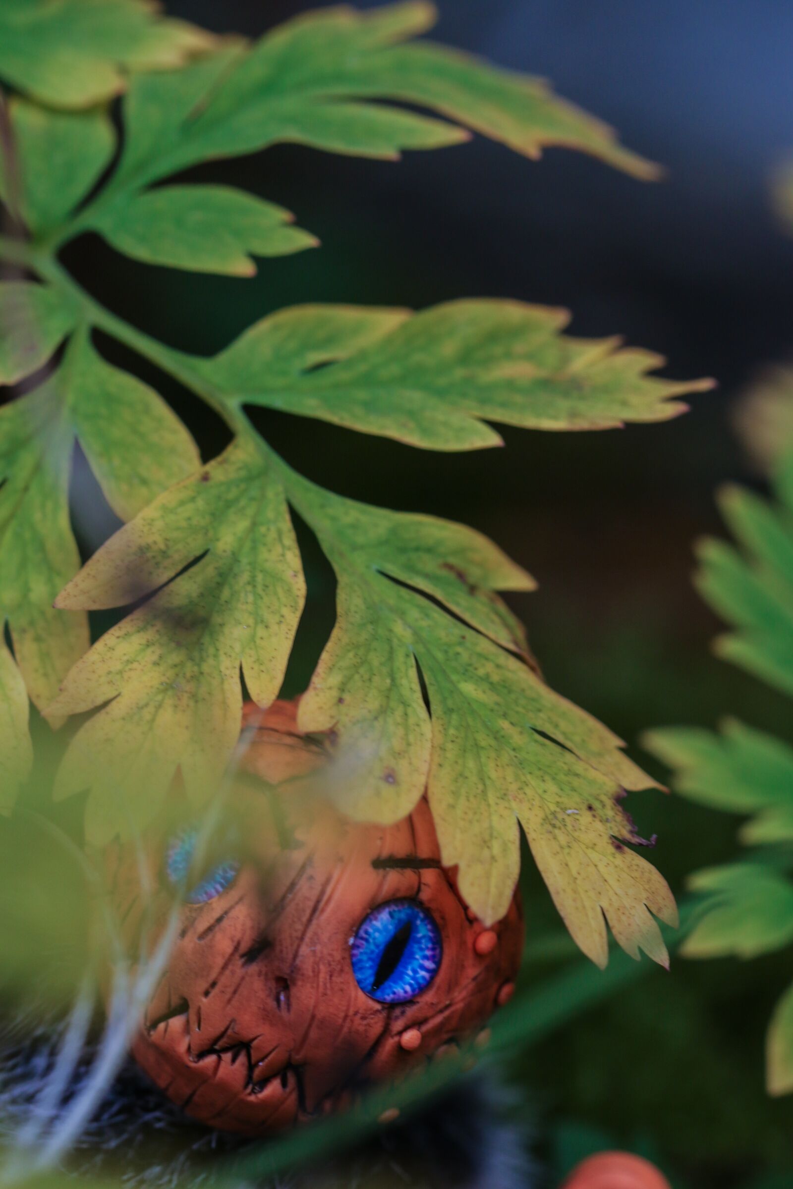 Canon EOS 7D Mark II sample photo. Pumkin, figure, autumn photography
