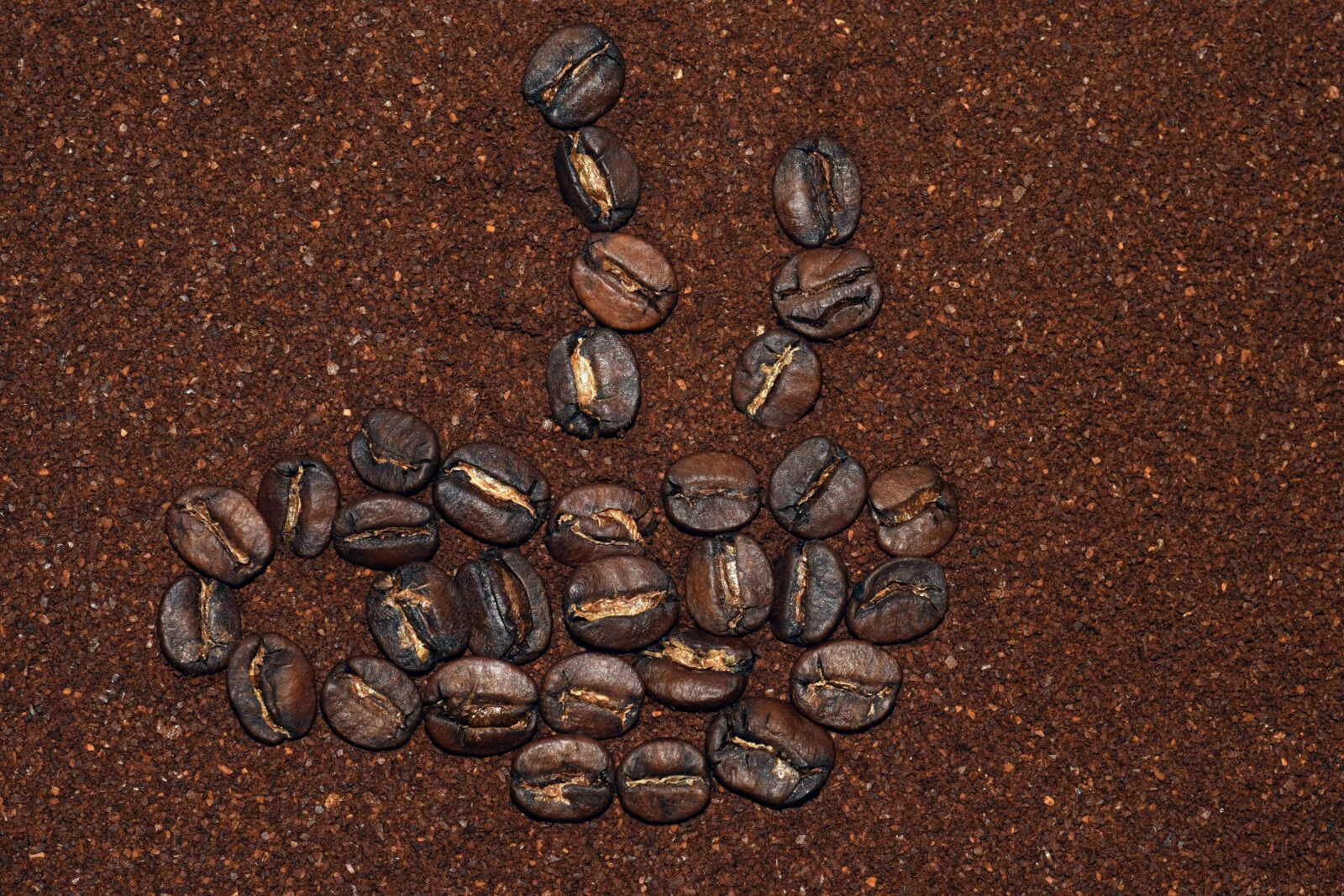 Nikon D3300 sample photo. Seed, roast, coffee, brown photography